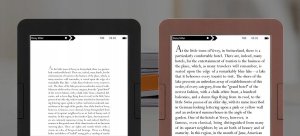 Czytnik Bemi Czytnik do e-booków BEMI Cognita+ Grafitowy 4GB 6 Cali 1900mAh E-INK Carta 11