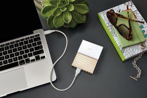 Dysk zewnętrzny HDD WD HDD 3 TB Biało-złoty (WDBFKT0030BGD-WESN) 3