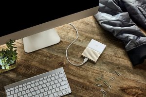 Dysk zewnętrzny HDD WD HDD My Passport Ultra 2 TB Biało-złoty (WDBFKT0020BGD-WESN) 4