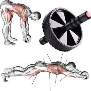4kom.pl Kółko roller do ćwiczeń mięśni brzucha biceps ABS Wheel Fitness koło trening sport czarny 3