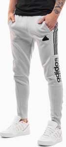 Adidas Spodnie męskie adidas House of Tiro Fleece szare IW5944 XL 1