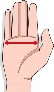 Viking Rękawice snowboardowe Viking Eltoro Black Beige 2024 9.0 8