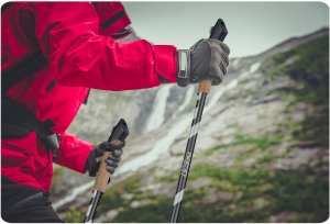 Neo-Sport NeoSport Kije trekkingowe NS-383 11