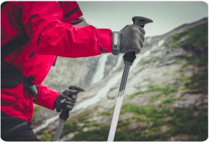 Neo-Sport NeoSport Kije trekkingowe NS-381 10
