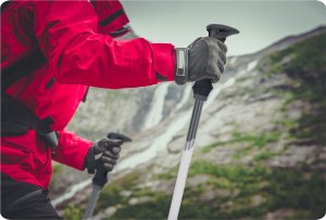 Neo-Sport NeoSport Kije trekkingowe NS-381 7