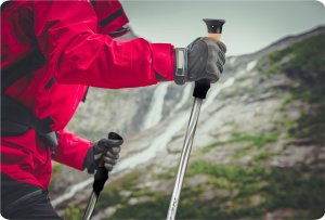 Neo-Sport NeoSport Kije trekkingowe NS-380 6