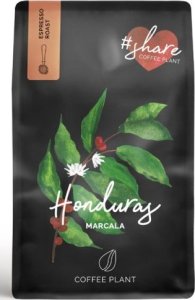 Kawa ziarnista Coffee Plant COFFEE PLANT - Honduras La Paz Marcala Washed Espresso 250g 2