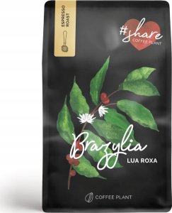 Kawa ziarnista Coffee Plant COFFEE PLANT - Brazylia Lua Roxa Espresso 1kg 2