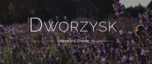 Dworzysk Dworzysk - Śpij Dobrze - Herbata sypana 30g 2