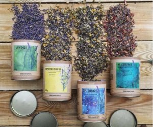 Dworzysk Dworzysk - Śpij Dobrze - Herbata sypana 30g 4