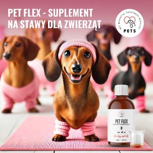 Pets PET FLEX  Preparat na stawy i mobilność dla zwierząt 500ml 3