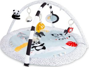 Canpol CANPOL BABIES sensory educational play mat with mirror BabiesBoo, 68/092 1