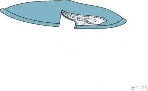 Carriwell CARRIWELL washable breast pads 6 pcs. White 125 6