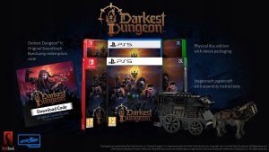 Plaion Gra PlayStation 5 Darkest Dungeon 2 9