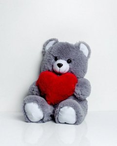 Go Gift Miś FRANK 50cm szary 1