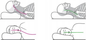 Oromed Poduszka ortopedyczna ORO-RELAX XL 5