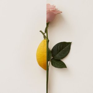 Burberry Perfumy Damskie Burberry My Burberry Blush EDP 50 ml 4