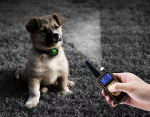 Przyjaciele Elektryczna obroża dla psa treningowa 800m pilot Elektryczna obroża dla psa treningowa 800m pilot 5