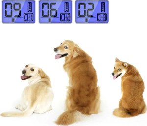 Przyjaciele Elektryczna obroża dla psa treningowa 800m pilot Elektryczna obroża dla psa treningowa 800m pilot 10