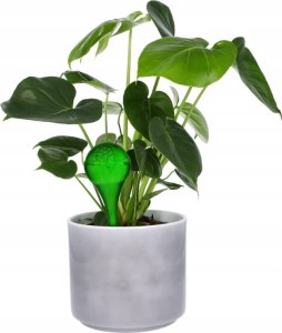 Browin Zestaw 4 kul nawadniających do kwiatów 400ml 6