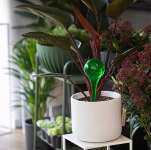 Browin Zestaw 4 kul nawadniających do kwiatów 400ml 9