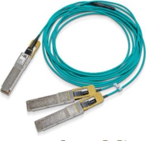 NVIDIA NVIDIA - Splitter zum direkten Anschliessen - QSFP56 (M) zu QSFP56 (M) - 30 m 1