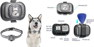 Concox GPS sekimo įrenginys šunims 2