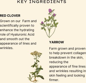 Jurlique Jurlique, Herbal Recovery Signature, Firming, Serum, For Face, 30 ml For Women 9