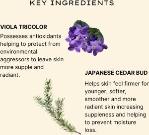 Jurlique Jurlique, Herbal Recovery Signature, Firming, Serum, For Face, 30 ml For Women 10