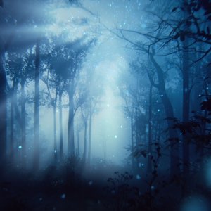 Estee Lauder Estee Lauder, Paradise Moon, Eau De Parfum, For Women, 100 ml For Women 5