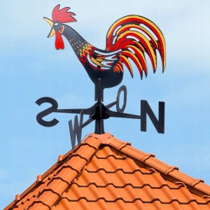 Vilde Kogut pogodowy róża wiatrów 12