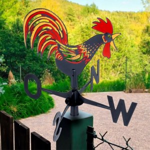 Vilde Kogut pogodowy róża wiatrów 16