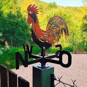 Vilde Kogut pogodowy róża wiatrów 5