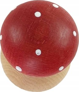 Tina Widelec - L30,5cm - Acacia - Acacia 3