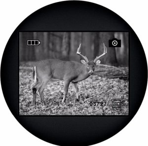 Levenhuk Levenhuk Atom Digital DNM100 Night Vision Monocular 11