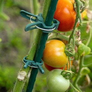 Kadax KADAX Klipsy Zapinki Do Pomidorów Roślin Pędów Fasoli Łodyg Spinki Spinka 20szt 2
