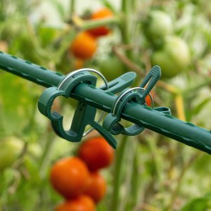Kadax KADAX Klipsy Zapinki Do Pomidorów Roślin Pędów Fasoli Łodyg Spinki Spinka 20szt 7