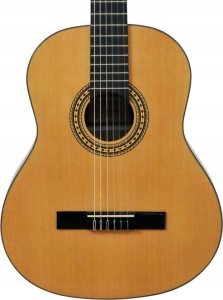 NN AG 34 GITARA AKUSTYCZNA 1/2 do nauki gry matowa 7