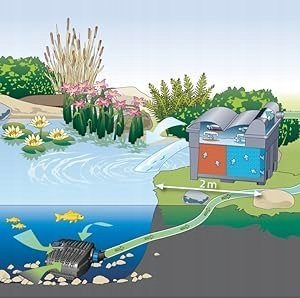 Oase Pompa strumieniowa do wody OASE 73337 AquaMax Eco Classic 12000 C 12000 l/h 3