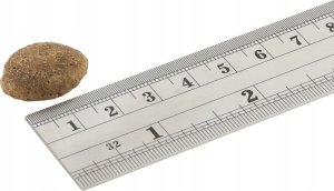 Fish4Dogs Fish4Dogs Superior Senior z łososiem 12kg 2