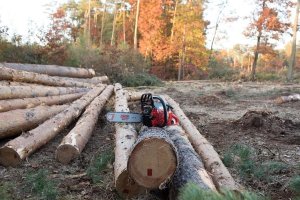 Piła łańcuchowa Maruyama MARUYAMA MCV6200 PIŁA PILARKA PRZECINARKA SPALINOWA ŁANCUCHOWA DO DREWNA 4.6KM / 50cm 6