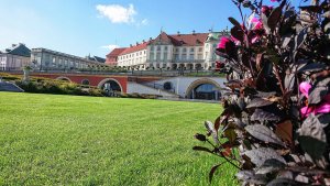 Emeralld Nawóz organiczny Bio - Emeralld Home Regeneracyjny 10 KG NPK 8-6-13 (+3MgO) HUMIFIRST 10