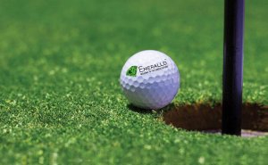 Emeralld Nawóz Bio* - Robot & Mulching 10KG NPK 7-3-6 (5+3+10) 11