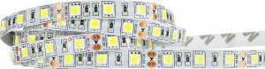 Taśma LED Ecolight Taśma LED 14.4W/m 4000K 800lm/m 12V IP20 /50m/ 2