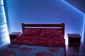 Taśma LED Ecolight Taśma LED 14.4W/m 6500K 800lm/m 12V IP20 /50m/ 4