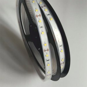 Taśma LED Ecolight Taśma LED 300 11W/m 3000K 300lm/m 12V IP67 /5m/ 8