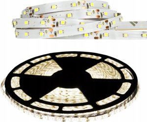 Taśma LED Ecolight Taśma LED 9.6W/m 6500K 600lm/m 12V IP20 /50m/ 13