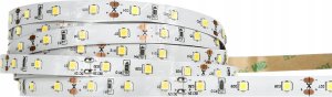 Taśma LED Ecolight Taśma LED 9.6W/m 6500K 600lm/m 12V IP20 /50m/ 2
