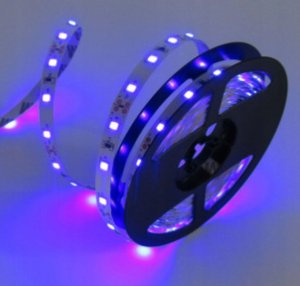 Taśma LED Ecolight Taśma LED 300 4.8W/m NIEBIESKA 12V IP20 /5m/ 7