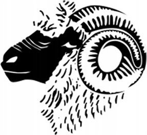 Brubeck LS1665W Bluza damska EXTREME MERINO fuksjowy M 5